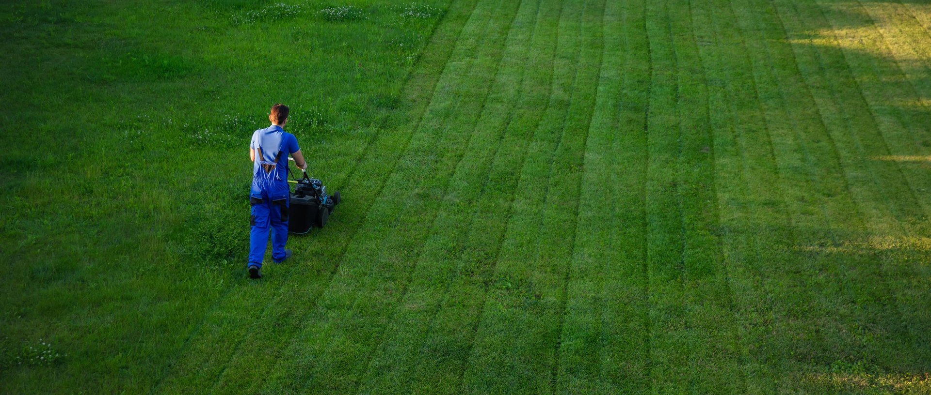 Beautiful striped lawn maintained by Southern Roots Lawn and Land Management
