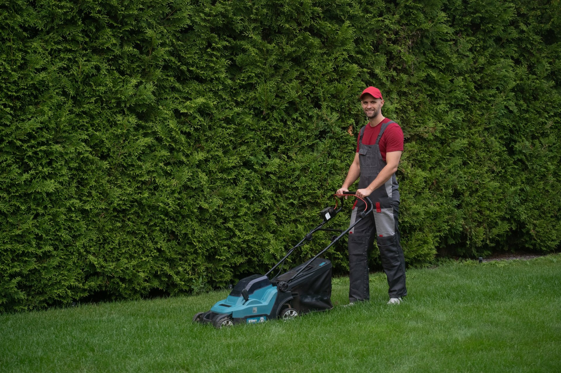 Beautiful Southern lawn