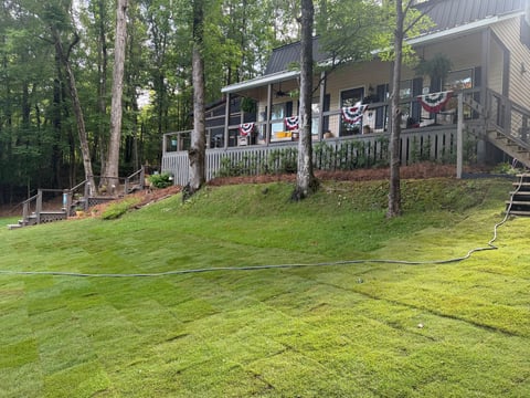 A country house with a wraparound porch surrounded by tall trees and a sloped green lawn