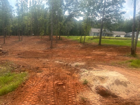 Rural property with reddish dirt yard, scattered pine trees, and a gray house visible in the background across green grass