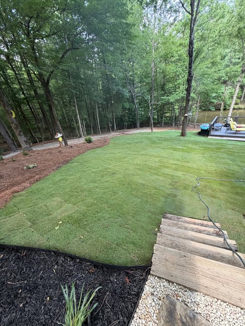 Backyard with freshly seeded green lawn, wooden deck steps, forest trees, and landscaping work in progress