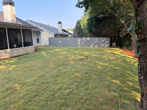 Residential backyard with patchy lawn, gray wooden fence, single-story house with white siding, and large tree on right side