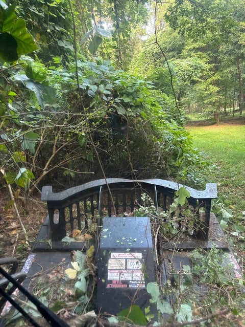 Abandoned black garden wagon overgrown with vines and ivy in a wooded area with green grass clearing
