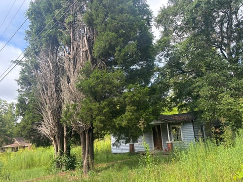 Abandoned wooden house with wrap-around porch surrounded by overgrown grass and large trees in rural setting