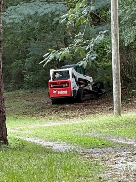 Red and white Bobcat skid-steer loader parked under low-hanging tree branches in a wooded area