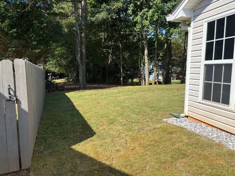 Sunny backyard with tall green trees, white storage shed on left, white siding house corner on right, and mowed grass lawn