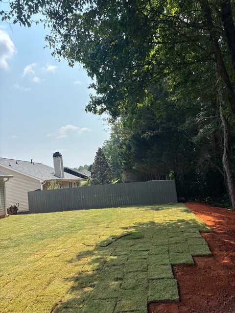 Backyard with rolled sod being installed on red soil, gray fence, house, and tall shaded trees under blue sky