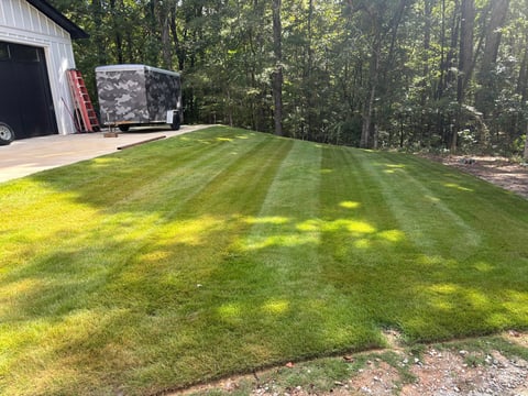 Neatly mowed lawn with alternating light and dark green stripes in front of a garage and wooded property