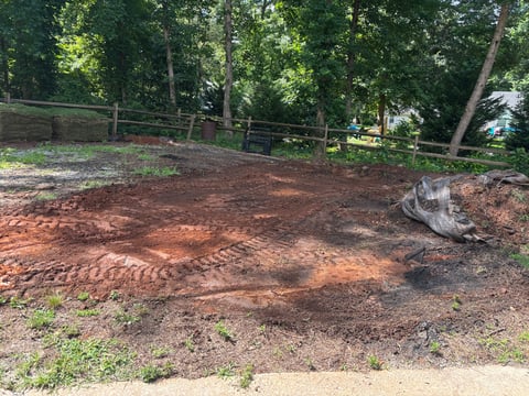 Rustic dirt paddock with wooden fence, fallen log, and dense green trees in background
