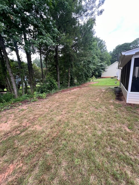 Sloped residential yard with sparse grass, red clay soil, surrounded by tall trees and a white mobile home structure on the right