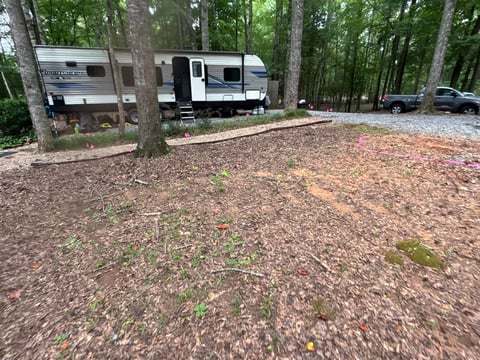 RV campground with white and gray travel trailers parked among tall trees on a dirt ground covered with pine needles and moss