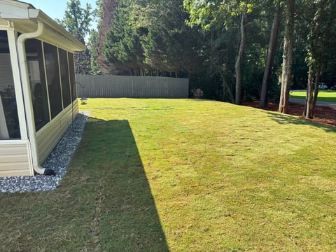 Backyard with large green lawn, house with screened porch on left, tall trees and fence in background
