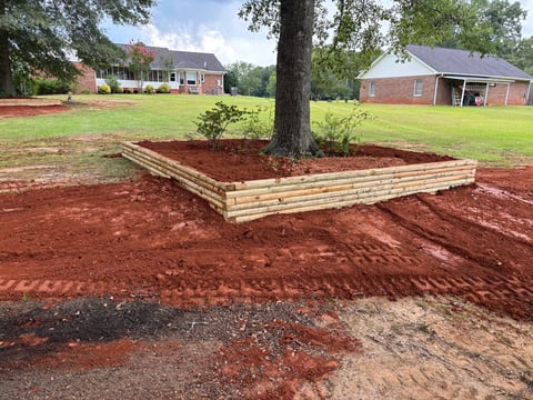 Wooden raised garden bed around a large tree in reddish soil, with brick houses and green lawn visible in the background