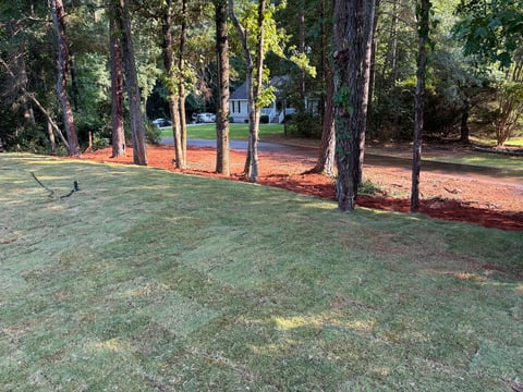 Grassy park area with tall trees, red mulch borders, and a structure visible in the background on a sunny day