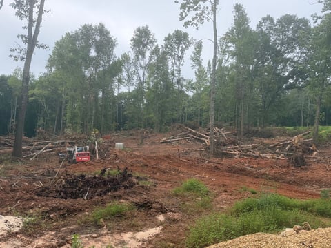 Deforested forest clearing with felled trees, red bulldozer, brown soil, and remaining tall trees in background under overcast sky
